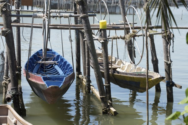 Thailand, Songkhla, Koh Yo, Aquacultural farm, Freshwater fish farming, Long-tailed boats out of water