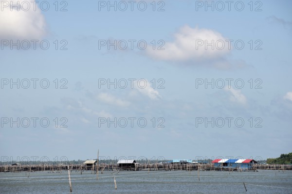 Thailand, Songkhla, Koh Yo, Aquacultural farm, Freshwater fish farming