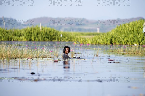 Thailand, Fisherman with net in the water // Fisherman, net, water, Pêche, Thaïland