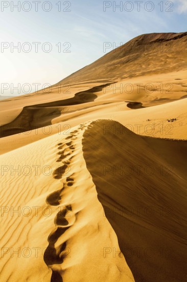 Caramucho dunes, in Atacama Desert. Iquique, Tarapaca Region, Chile. 21.11.15