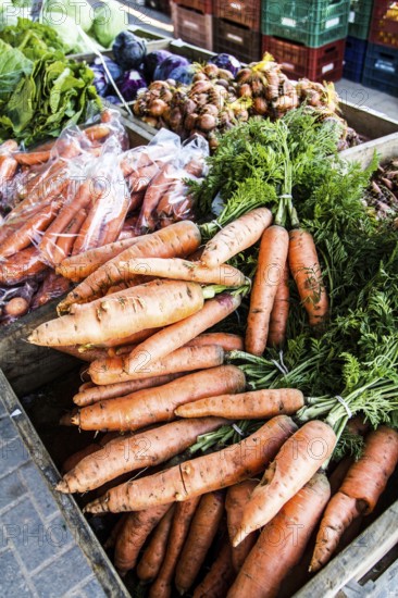Feira de produtos orgânicos da Lagoa da Conceição, que ocorre todos os sábados, das 7:00 às 12:00, na Praça Bento Silvério. Promovida pela Associação Eco - Associação de Agricultura Ecológica, a feira reúne agricultores de diversas regiões do Estado de Santa Catarina. Florianópolis, Santa Catarina, Brasil. / Street market for organic products at Lagoa da Conceicao neighborhood. It takes place at Bento Silverio Square, every saturday from 7:00 AM to noon. Florianopolis, Santa Catarina, Brazil