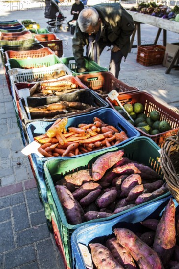 Street market for organic products at Lagoa da Conceicao neighborhood. It takes place at Bento Silverio Square, every saturday from 7:00 AM to noon. Florianopolis, Santa Catarina, Brazil