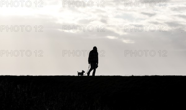 Man with dog walking across a dike on the Baltic Sea, Fehmarn, 16.10.2025, Fehmarn, Schleswig-Holstein, Germany