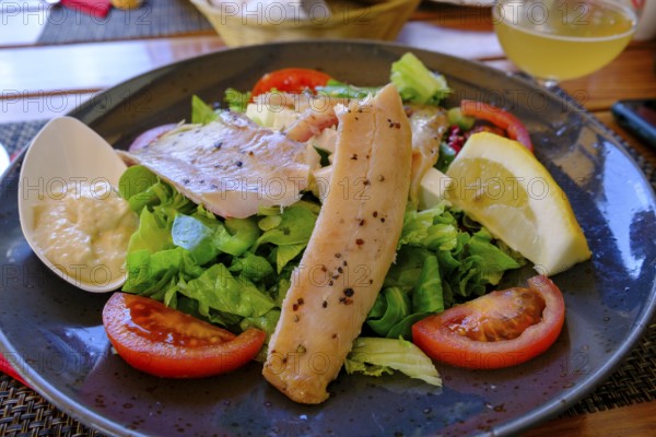 Trout fillet on salad, food, Kranjska Gora, Upper Carniola, Julian Alps, Slovenia