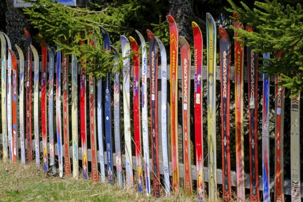 Zaun alte Skier, Arberalm, Brennes, Arberseestrasse, Brennesstraße, Bavarian Forest, Lower Bavaria, Bavaria, Germany