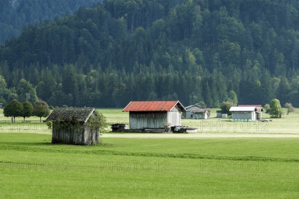 Wooden cabinn auf Wiesen, Oberstdorf, Oberallgäu, Allgäu, Bavaria, Germany