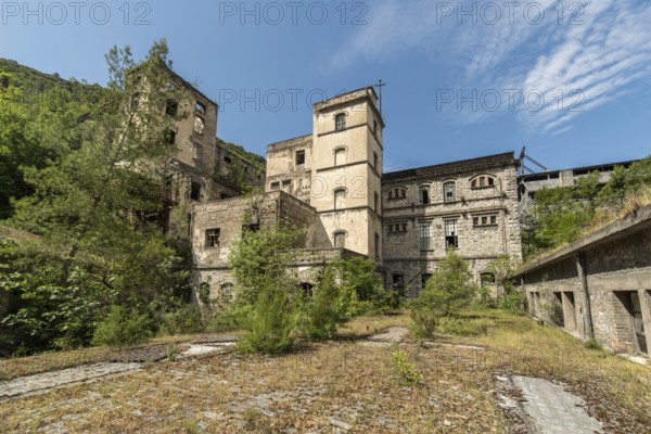 Abandoned building overgrown by vegetation under blue sky, showing signs of weathering and transience, industry, power plant, walls, masonry, overgrown, Italy