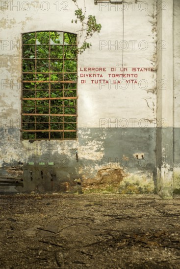 Dilapidated interior wall with window and Italian lettering, surrounded by wild nature and signs of time, lost place, Italy, green, industry, factory, cover, historic, timeless, then, formerly, forgotten, workplace, remote