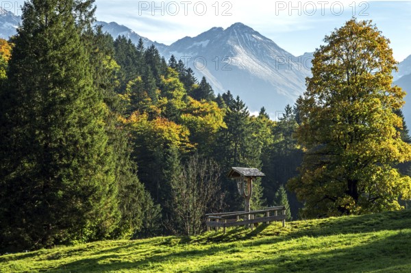 Crossroads in front of autumnal trees, behind mountains of the Allgäu Alps, Schwand, Stillachtal, Oberstdorf, Oberallgäu, Allgäu, Bavaria, Germany