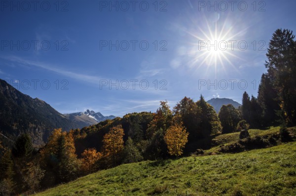 Autumn landscape in Stillachtal, back light, Oberstdorf, Oberallgäu, Allgäu, Bavaria, Germany