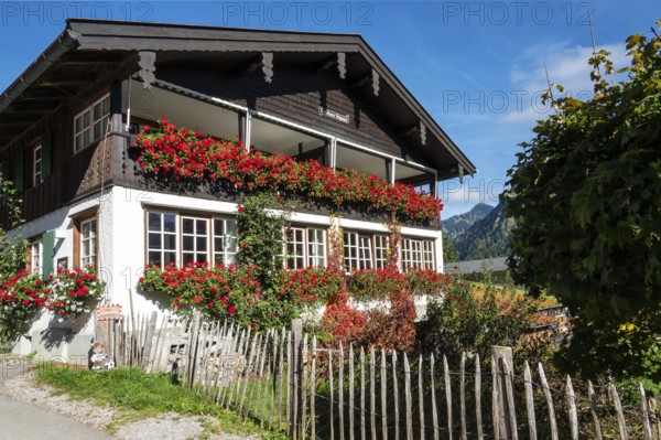 Old farmhouse with cottage garden in Schwand, Stillachtal, near Oberstdorf, Oberallgäu, Allgäu, Bavaria, Germany