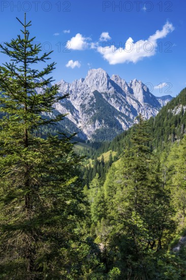 The southern falls of the Reither Alm above the Bindalm in the Klausbach Valley, Berchtesgaden National Park, Berchtesgaden Alps, Bavaria, Germany
