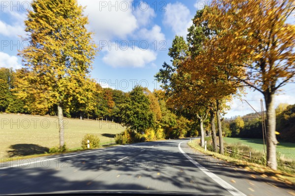 Car ride over winding country road, autumn leaves, sunny autumn weather, motion blur, Barntrup, Ostwestfalen-Lippe, Teutoburger Wald Eggegebirge nature park Park, North Rhine-Westphalia, Germany