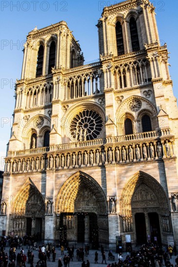 Notre Dame Cathedral (Cathedrale Notre Dame de Paris). Paris, France. 01.01.13