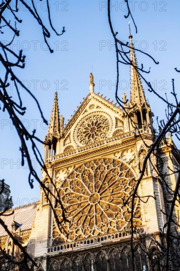 Rose window on south facade of Notre Dame Cathedral (Cathedrale Notre Dame de Paris). Paris, France. 01.01.13