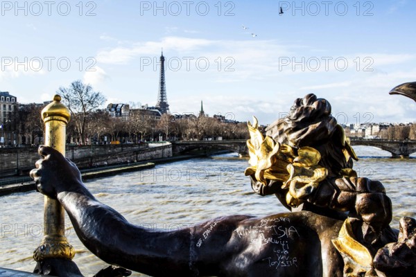 Detail of Pont Alexandre III (Alexandre III Bridge) and Eiffel Tower in the background. Paris, France. 01.01.13