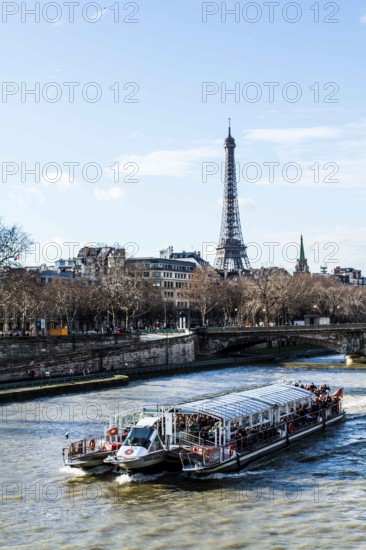 Tourist boat on Seine River viewed from Pont Alexandre III (Alexandre III Bridge) and Eiffel Tower in the background. Paris, France. 01.01.13