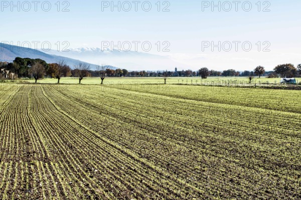 Rural landscape near the city of Assisi. Assisi, Province of Perugia, Italy. 22.12.2012