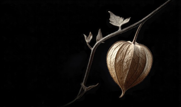 A leafy branch with a flower on it. The flower is brown and has a yellow center. The branch is dark. AI generated