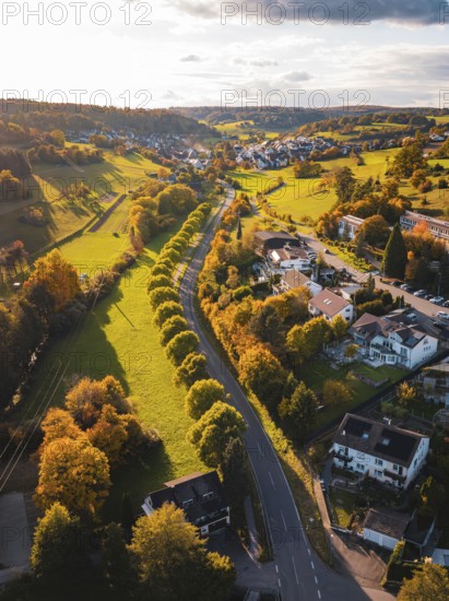 A road lined with autumn trees through green fields, Deufringen, Aidlingen, Böblingen district, Germany