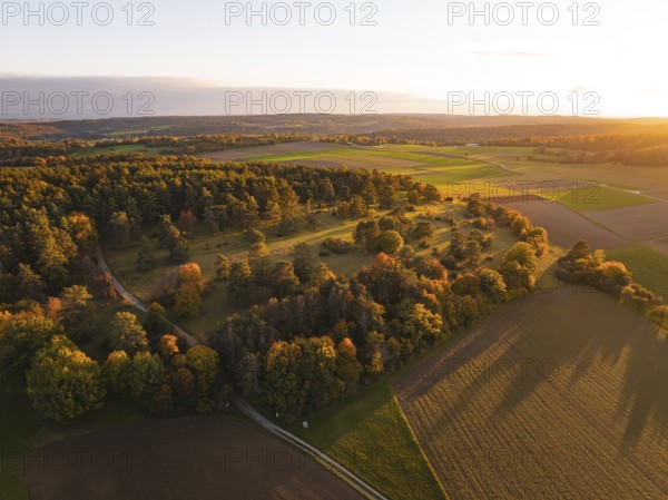 Extensive autumn landscape with trees and fields in warm sunset light, Venusberg, Aidlingen, Germany