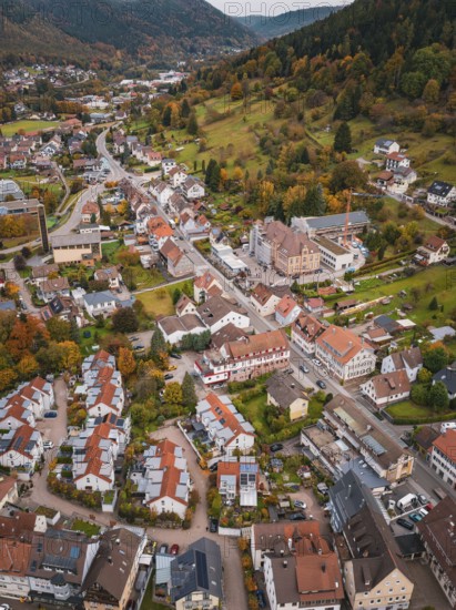 Aerial view of an urban area with colorful autumn leaves and surrounding nature, Calmbach, Bad Wildbad, Black Forest, Germany