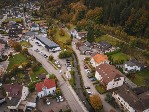 Aerial view of a village with autumn trees, roads, buildings and a small river, Calmbach, Bad Wildbad, Black Forest, Germany