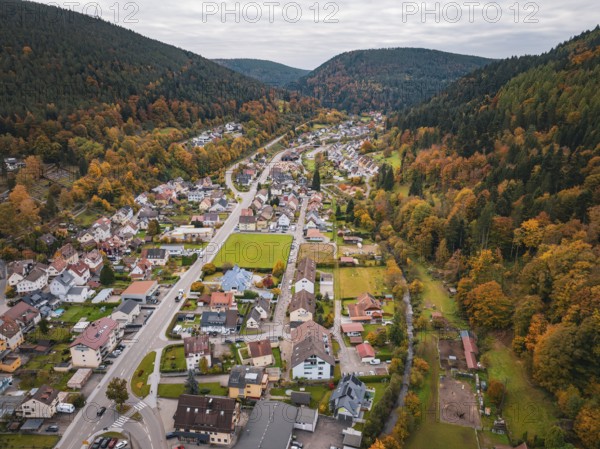 Bird's-eye view of a small town surrounded by forests with colorful foliage in autumn, Calmbach, Bad Wildbad, Black Forest, Germany
