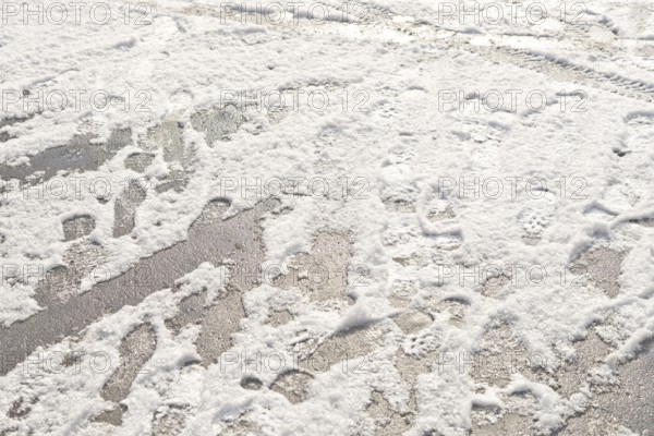 Wheel and foot prints in the fresh snow