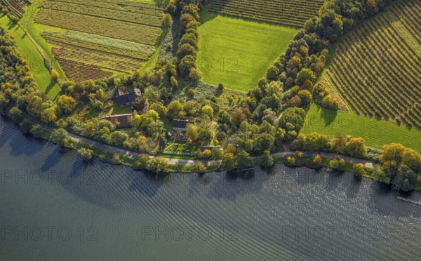 Aerial view, restaurant Haus am See, Lake Baldeney and autumnal forest, half-timbered building Harnscheidts Höfe, Oberharnscheidt, Bredeney, Essen, Ruhr region, North Rhine-Westphalia, Germany, colorful trees, trees in autumn colors, café, DE, food and drink, Essen-Süd, Europe, half-timbered house, inn, gastronomy, autumn colors, autumn colors, autumn forest colors, aerial photography, aerial photography, restaurant, structure, overview, bird's eye view, forest in autumn colors, meadows and fields, birds-eyes view, autumnal forest, agricultural fields, overview