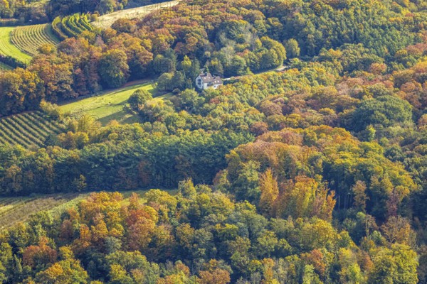 Aerial view, house surrounded by autumn forest, baldeney miniatures and Shetland horse breeders on Dodelle Straße, Bredeney, Essen, Ruhr region, North Rhine-Westphalia, Germany, colorful trees, trees in autumn colors, DE, Essen-South, Europe, autumn, autumn colors, autumn forest colors, aerial photography, aerial photography, mixed forest, horses, equestrian sport, horse breeding, overview, bird perspective, forest in autumn colors, birds-eyes view, colorful autumn leaves, autumn forest, overview