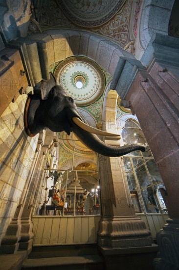 Elephant head in Mysore Palace or Amba Vilas Palace, interior view, Mysore or Mysore, Karnataka, India