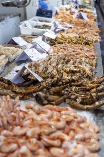 A stand selling fish at a market. Beautifully presented and shelved Fish buyers at Mercado Central de Abastos de Cádiz, Atlantic, Spain