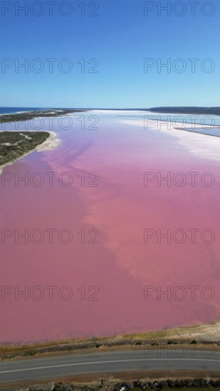 Pink lake next to the xoast, divided by streams and streets, photograped with a drone