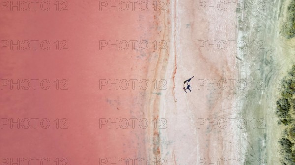 Two people standing at the shoreline of a pink lake, casting shadows, seen from above