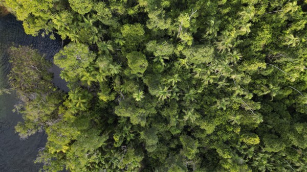 A waterfall and it´s pond in a remote are in Northern Territory Australia, photograped with a drone