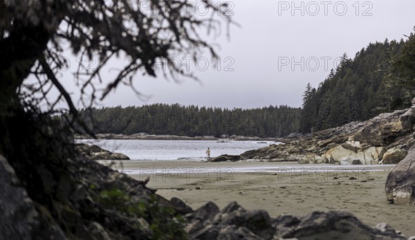 A quiet, tree-lined beach with calm water under an overcast sky in Tofino, British Columbia, Canada