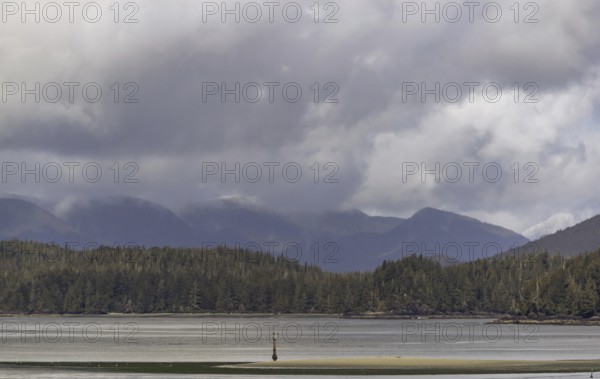 A peaceful lake with surrounding hills creating a tranquil natural scene under an overcast sky in Tofino, British Columbia, Canada