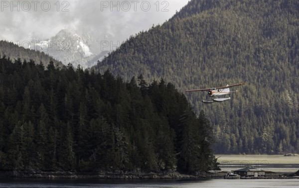 A seaplane glides past mist-covered mountains and lush forests over a calm body of water in Tofino, British Columbia, Canada