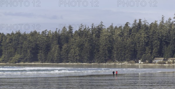 Two people walk along the shore with forest backdrop under a cloudy sky in Tofino, British Columbia, Canada