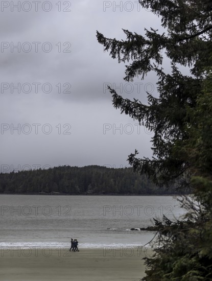 A person walks along an empty beach surrounded by trees under an overcast sky in Tofino, British Columbia, Canada