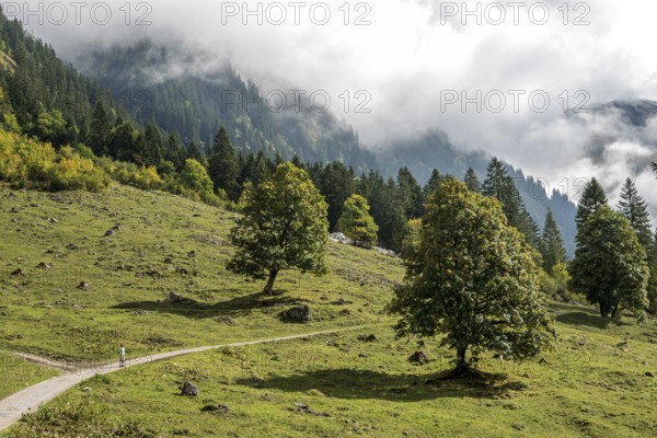 Hiking trail in the Dietersbachtal from Gerstruben to Alpe Dietersbach, Nebelschwanden hang in the valley, Oberstdorf, Allgäu Alps, Oberallgäu, Bavaria, Germany