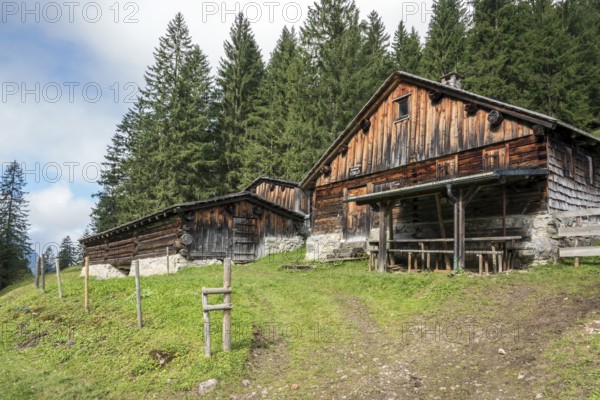 Gerstruber Alpe, Dietersbachtal, Oberstdorf, Allgäu Alps, Oberallgäu, Allgäu, Bavaria, Germany