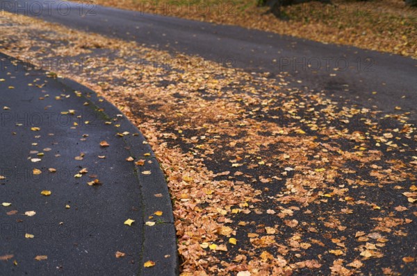 Public road in residential area full of autumn leaves, leaves, risk of slipping, autumn, residential area, Stuttgart, Baden-Württemberg, Germany