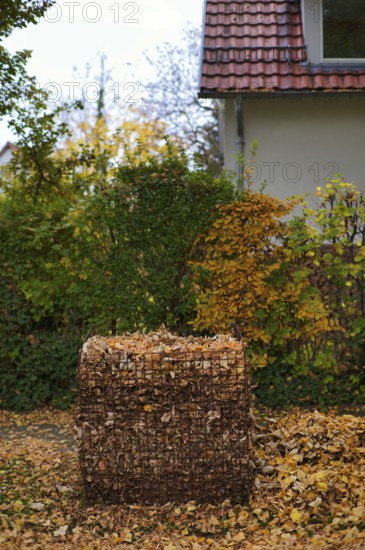 Public collection container, leaf basket, steel mesh compost basket, for collecting autumn leaves, leaves, overfilled, full, leaves, autumn, autumn, residential area, Stuttgart, Baden-Württemberg, Germany