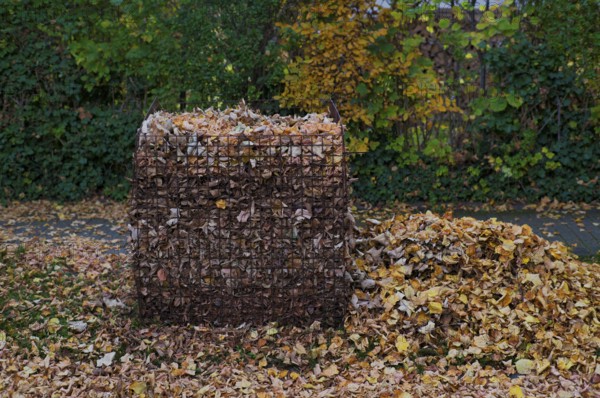 Public collection container, leaf basket, steel mesh compost basket, for collecting autumn leaves, leaves, overfilled, full, leaves, autumn, autumn, residential area, Stuttgart, Baden-Württemberg, Germany
