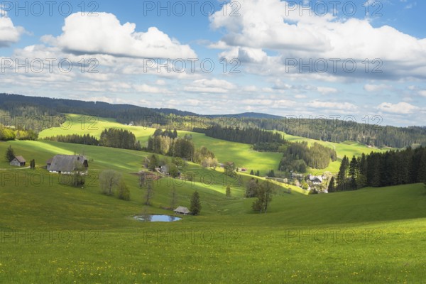 Hills and farms in Jostal, Titisee-Neustadt, Black Forest, Baden-Württemberg, Germany