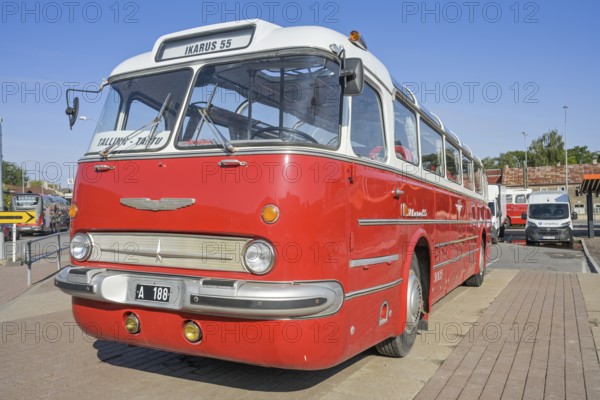 Historic Icarus 55, bus from the Hungarian bus manufacturer Ikarus, Tallinna Bussijaam bus station, Tallinn, Estonia