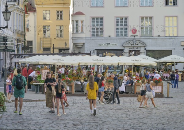 Restaurants, old buildings, Raekoja Plats Town Hall Square, Rathausplatz, Rathausplatz, Old Town, Tallinn, Estonia