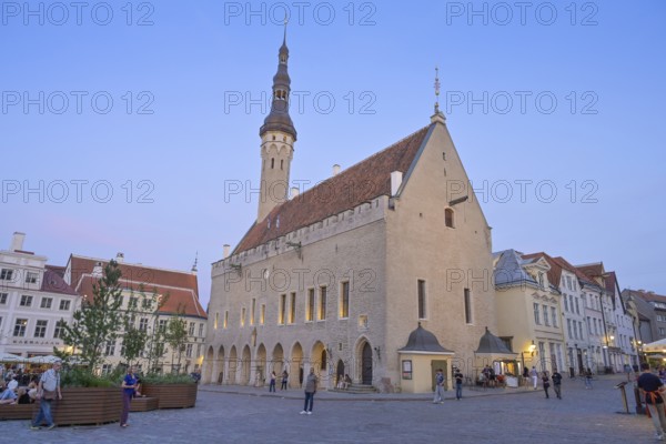 Town Hall, Raekoja Plats Town Hall Square, Rathausplatz, Rathausplatz, Old Town, Tallinn, Estonia